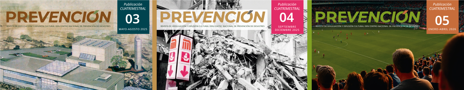 Publicaciones ENAPROC